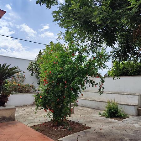 Mamasita Apartment Cutrofiano Bagian luar foto